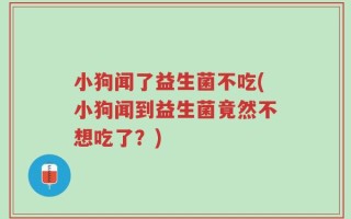小狗闻了益生菌不吃(小狗闻到益生菌竟然不想吃了？)