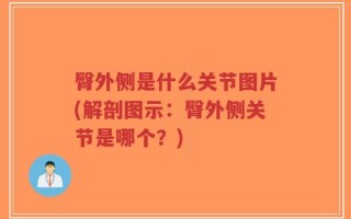 臀外侧是什么关节图片(解剖图示：臀外侧关节是哪个？)