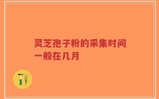 灵芝孢子粉的采集时间一般在几月