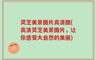 灵芝美景图片高清图(高清灵芝美景图片，让你感受大自然的美丽)