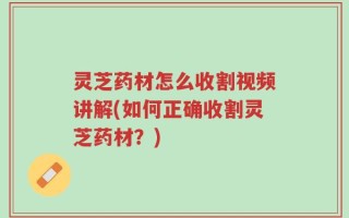 灵芝药材怎么收割视频讲解(如何正确收割灵芝药材？)