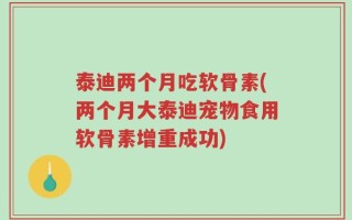 泰迪两个月吃软骨素(两个月大泰迪宠物食用软骨素增重成功)