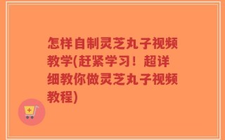 怎样自制灵芝丸子视频教学(赶紧学习！超详细教你做灵芝丸子视频教程)