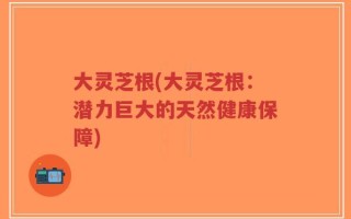大灵芝根(大灵芝根：潜力巨大的天然健康保障)