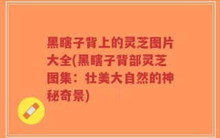 黑瞎子背上的灵芝图片大全(黑瞎子背部灵芝图集：壮美大自然的神秘奇景)