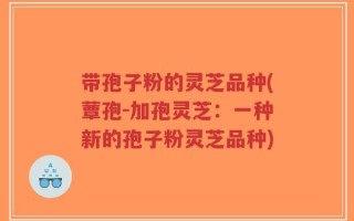 带孢子粉的灵芝品种(蕈孢-加孢灵芝：一种新的孢子粉灵芝品种)