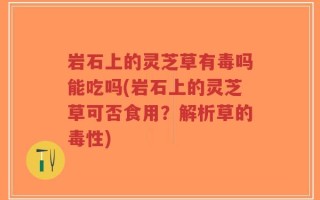 岩石上的灵芝草有毒吗能吃吗(岩石上的灵芝草可否食用？解析草的毒性)