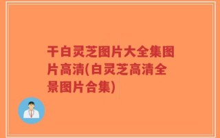 干白灵芝图片大全集图片高清(白灵芝高清全景图片合集)