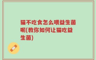 猫不吃食怎么喂益生菌呢(教你如何让猫吃益生菌)