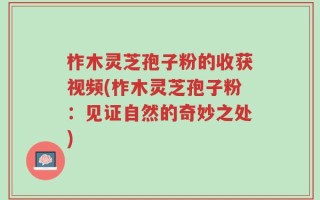 柞木灵芝孢子粉的收获视频(柞木灵芝孢子粉：见证自然的奇妙之处)