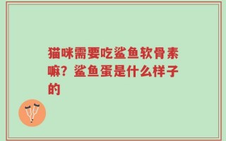 猫咪需要吃鲨鱼软骨素嘛？鲨鱼蛋是什么样子的
