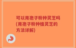 可以用孢子粉种灵芝吗(用孢子粉种植灵芝的方法详解)