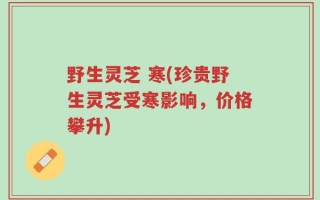 野生灵芝 寒(珍贵野生灵芝受寒影响，价格攀升)