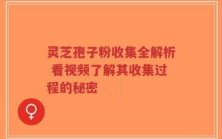 灵芝孢子粉收集全解析 看视频了解其收集过程的秘密