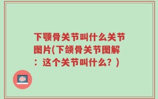 下颚骨关节叫什么关节图片(下颌骨关节图解：这个关节叫什么？)