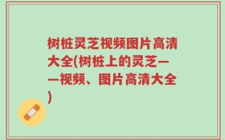 树桩灵芝视频图片高清大全(树桩上的灵芝——视频、图片高清大全)