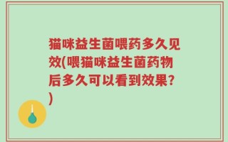 猫咪益生菌喂药多久见效(喂猫咪益生菌药物后多久可以看到效果？)