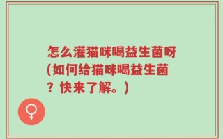 怎么灌猫咪喝益生菌呀(如何给猫咪喝益生菌？快来了解。)