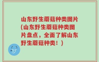 山东野生蘑菇种类图片(山东野生蘑菇种类图片盘点，全面了解山东野生蘑菇种类！)