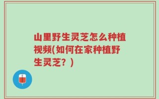 山里野生灵芝怎么种植视频(如何在家种植野生灵芝？)