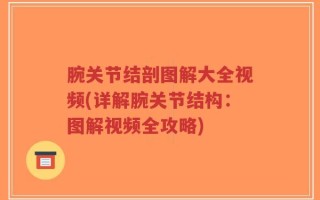 腕关节结剖图解大全视频(详解腕关节结构：图解视频全攻略)