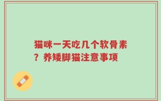 猫咪一天吃几个软骨素？养矮脚猫注意事项