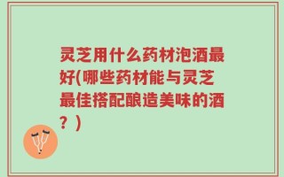 灵芝用什么药材泡酒最好(哪些药材能与灵芝最佳搭配酿造美味的酒？)