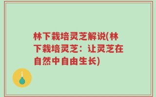 林下栽培灵芝解说(林下栽培灵芝：让灵芝在自然中自由生长)