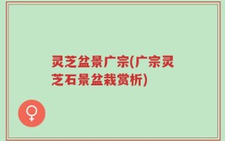灵芝盆景广宗(广宗灵芝石景盆栽赏析)