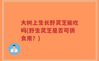 大树上生长野灵芝能吃吗(野生灵芝是否可供食用？)