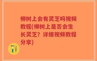 柳树上会有灵芝吗视频教程(柳树上是否会生长灵芝？详细视频教程分享)