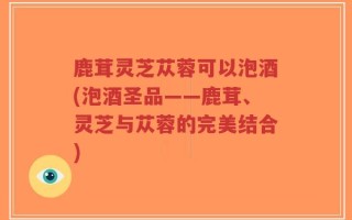 鹿茸灵芝苁蓉可以泡酒(泡酒圣品——鹿茸、灵芝与苁蓉的完美结合)