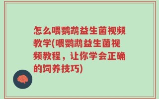 怎么喂鹦鹉益生菌视频教学(喂鹦鹉益生菌视频教程，让你学会正确的饲养技巧)