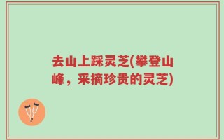 去山上踩灵芝(攀登山峰，采摘珍贵的灵芝)