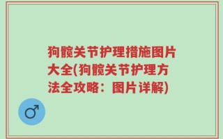 狗髋关节护理措施图片大全(狗髋关节护理方法全攻略：图片详解)