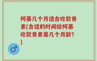 柯基几个月适合吃软骨素(合适的时间给柯基吃软骨素是几个月龄？)
