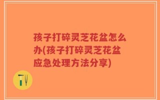 孩子打碎灵芝花盆怎么办(孩子打碎灵芝花盆应急处理方法分享)