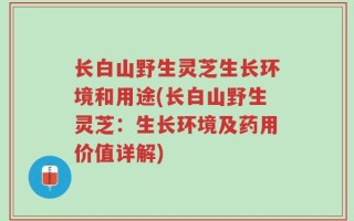长白山野生灵芝生长环境和用途(长白山野生灵芝：生长环境及药用价值详解)