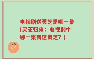 电视剧送灵芝是哪一集(灵芝归来：电视剧中哪一集有送灵芝？)