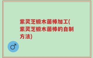 紫灵芝椴木菌棒加工(紫灵芝椴木菌棒的自制方法)