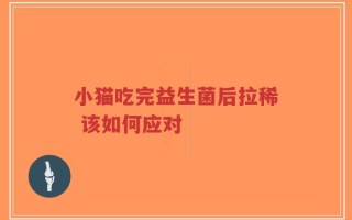 小猫吃完益生菌后拉稀 该如何应对