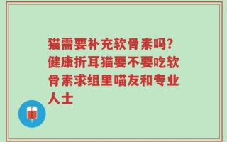 猫需要补充软骨素吗？健康折耳猫要不要吃软骨素求组里喵友和专业人士