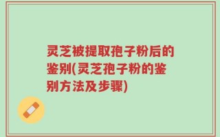 灵芝被提取孢子粉后的鉴别(灵芝孢子粉的鉴别方法及步骤)
