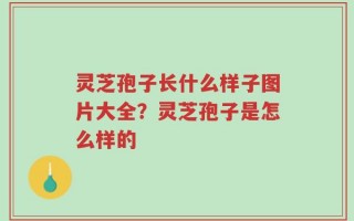 灵芝孢子长什么样子图片大全？灵芝孢子是怎么样的