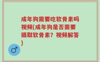 成年狗需要吃软骨素吗视频(成年狗是否需要摄取软骨素？视频解答)