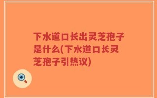 下水道口长出灵芝孢子是什么(下水道口长灵芝孢子引热议)