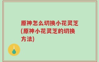 原神怎么切换小花灵芝(原神小花灵芝的切换方法)