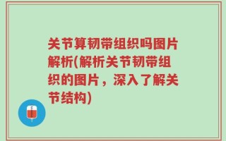 关节算韧带组织吗图片解析(解析关节韧带组织的图片，深入了解关节结构)