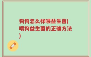 狗狗怎么样喂益生菌(喂狗益生菌的正确方法)
