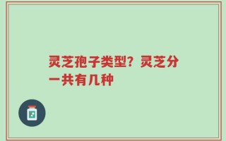 灵芝孢子类型？灵芝分一共有几种